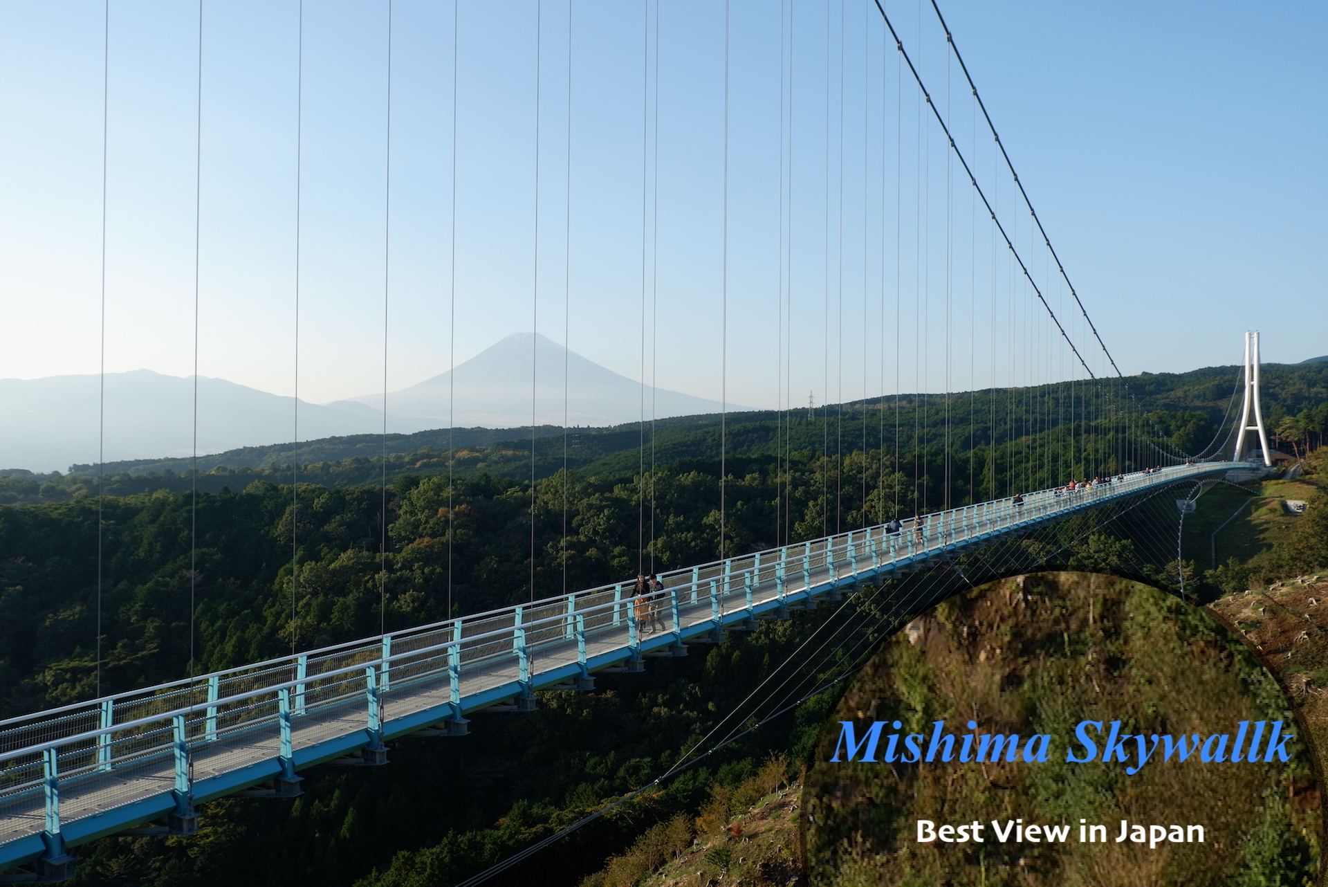 MISHIMA SKYWALK  สะพานแขวนคนเดินที่ยาวที่สุดในประเทศญี่ปุ่น แหล่งท่องเที่ยวที่สามารถมองเห็นวิว “ฟูจิชัง” ได้สุดประทับใจ